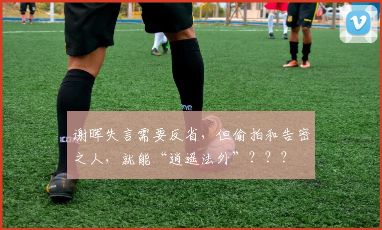 谢晖失言需要反省，但偷拍和告密之人，就能“逍遥法外”？？？