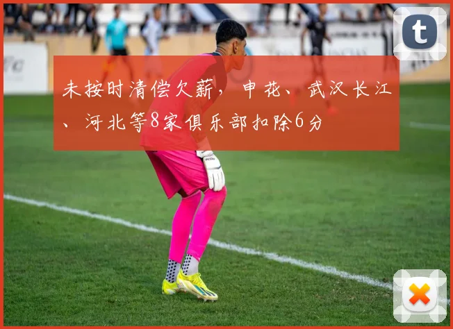 未按时清偿欠薪，申花、武汉长江、河北等8家俱乐部扣除6分