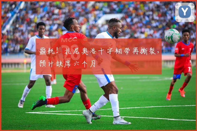 噩耗！扎尼奥洛十字韧带再撕裂，预计缺席六个月